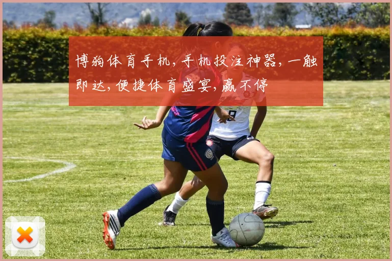 博狗体育手机,手机投注神器,一触即达,便捷体育盛宴,赢不停