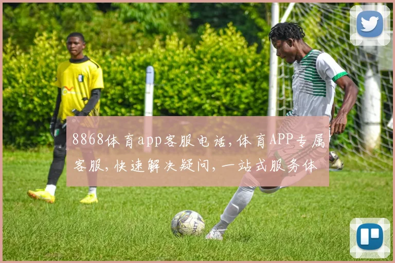 8868体育app客服电话,体育APP专属客服,快速解决疑问,一站式服务体验