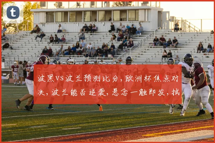 波黑vs波兰预测比分,欧洲杯焦点对决,波兰能否逆袭,悬念一触即发,拭目以待